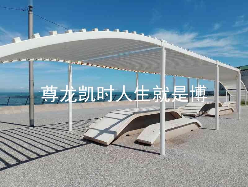 尊龙凯时人生就是博