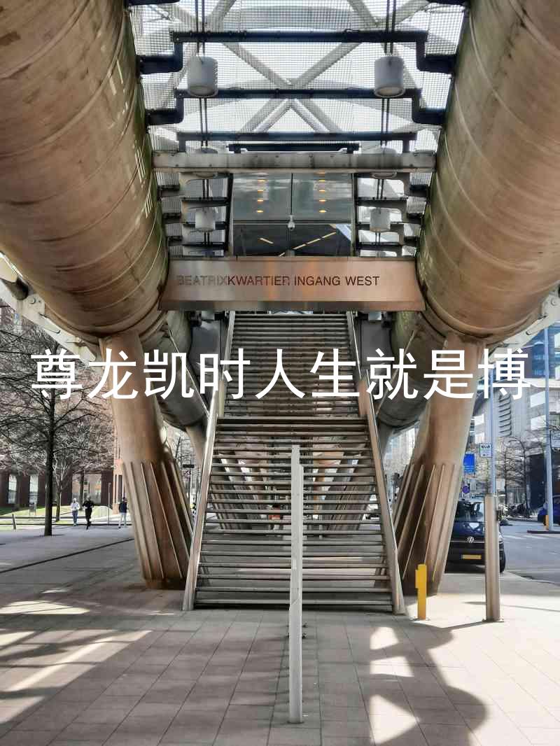 尊龙凯时人生就是博