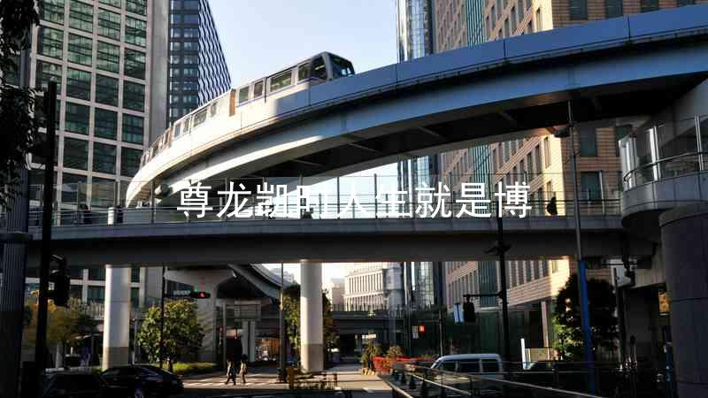 尊龙凯时人生就是博