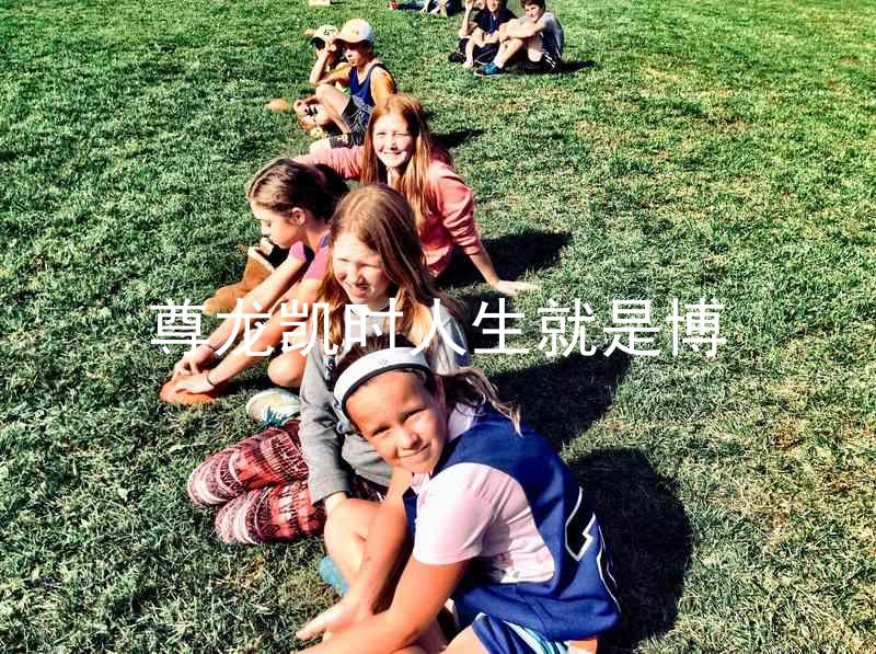 尊龙凯时人生就是博