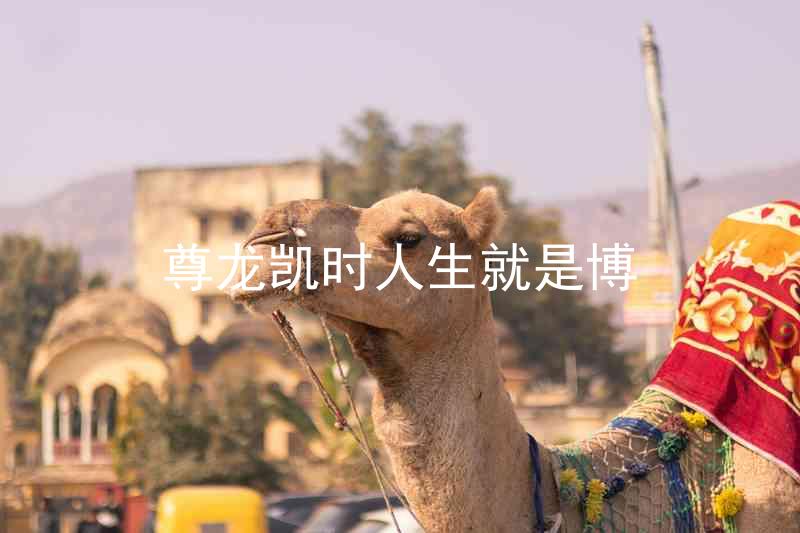尊龙凯时人生就是博