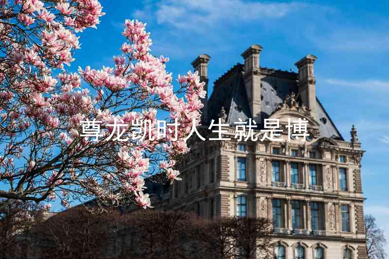 尊龙凯时人生就是博